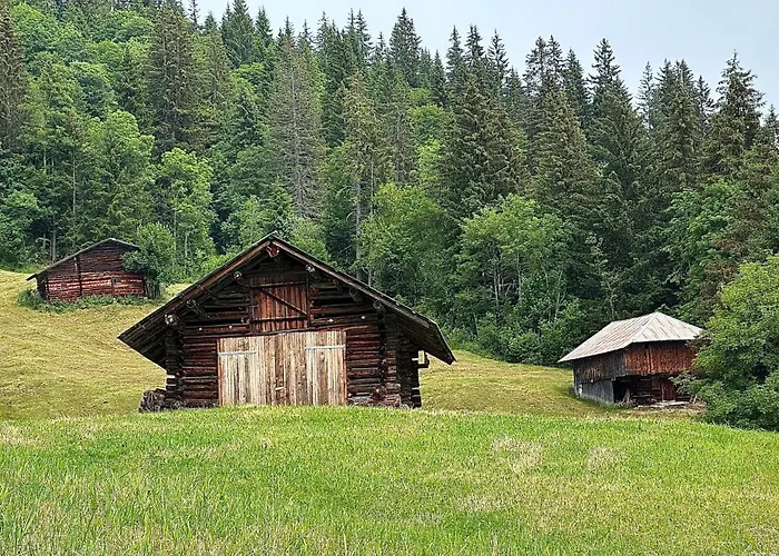 Panorama Lejlighed Beatenberg